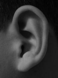 Arti "Telinga Berdenging" Menurut Islam